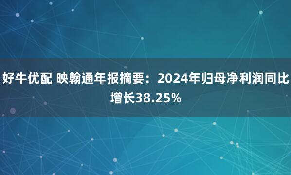好牛优配 映翰通年报摘要:2024年归母净利润同比增长38.25%