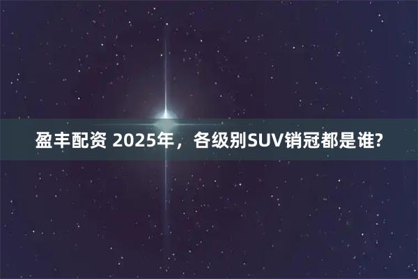 盈丰配资 2025年，各级别SUV销冠都是谁?