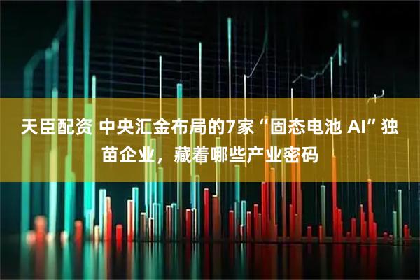 天臣配资 中央汇金布局的7家“固态电池 AI”独苗企业，藏着哪些产业密码