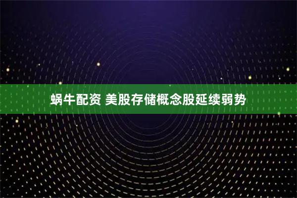 蜗牛配资 美股存储概念股延续弱势