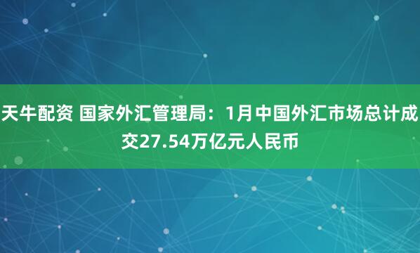 天牛配资 国家外汇管理局：1月中国外汇市场总计成交27.54万亿元人民币