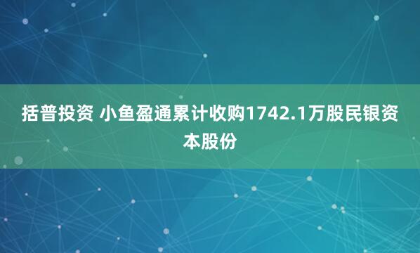 括普投资 小鱼盈通累计收购1742.1万股民银资本股份